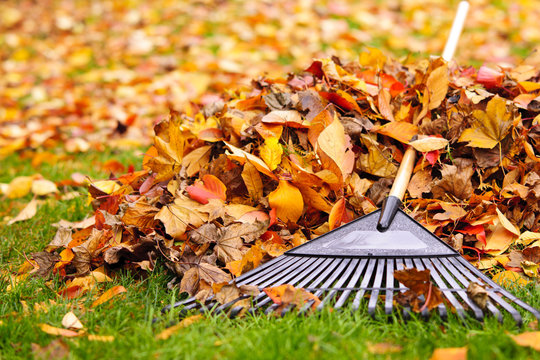 Leaf Vacuuming Services For Single Family Homes