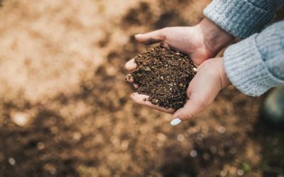 SWALCO Spring Compost Giveaway