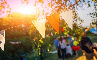 Hainesville’s Party in the Park